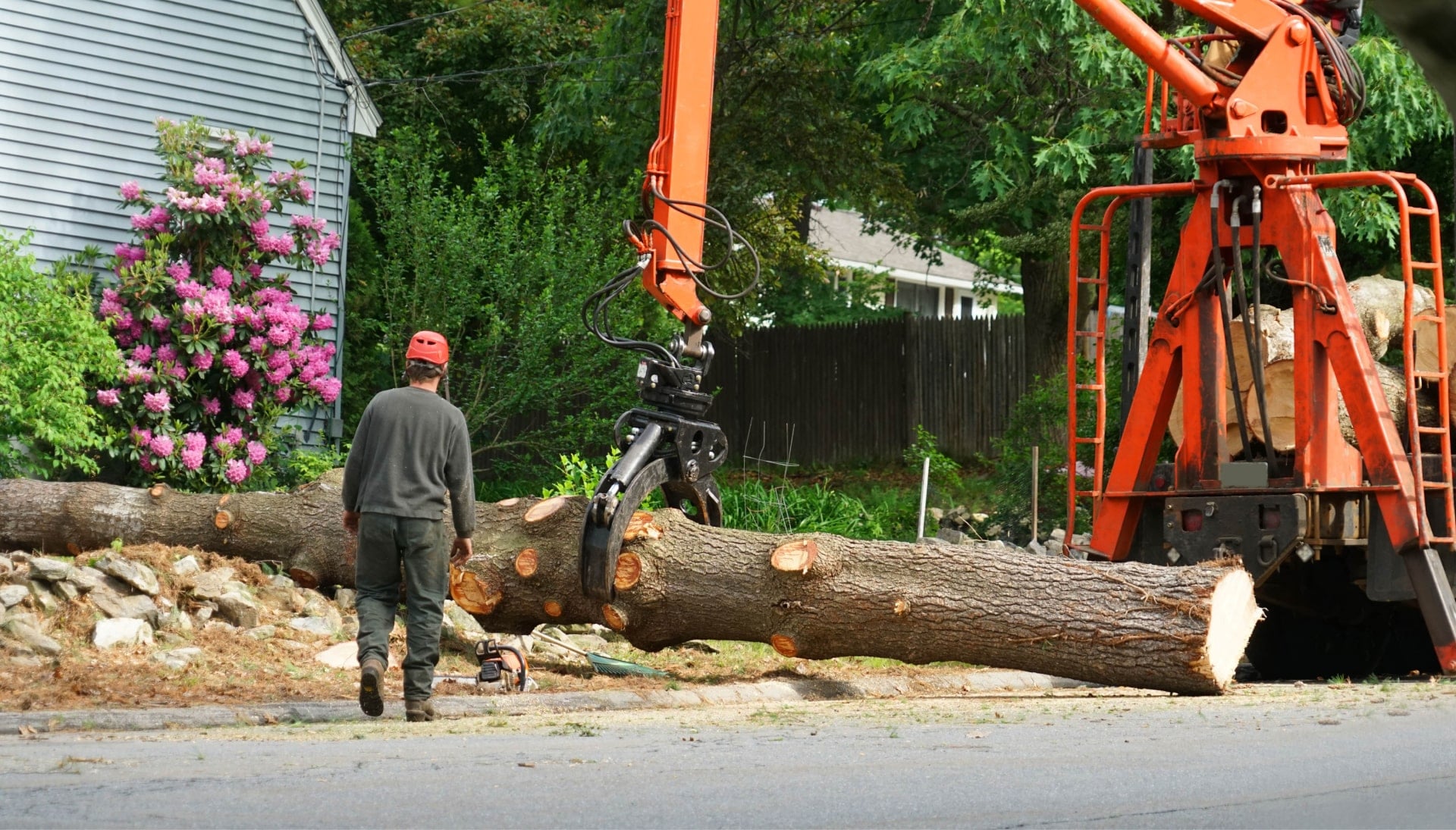 Local partner for Tree removal services in Colorado Springs